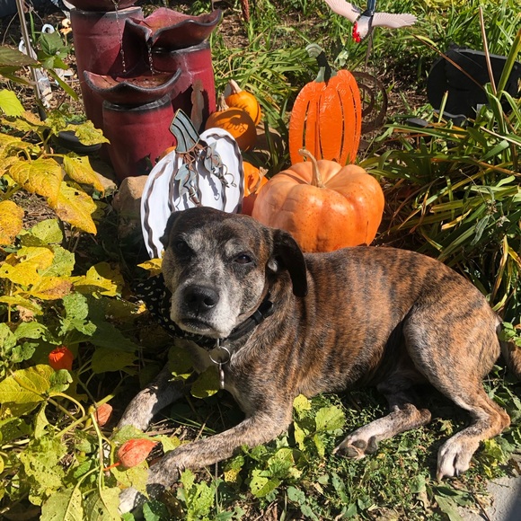 Meet your Posher, Courtney - Picture 8 of 11